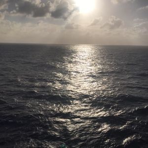 Meet your Posher, Jessie